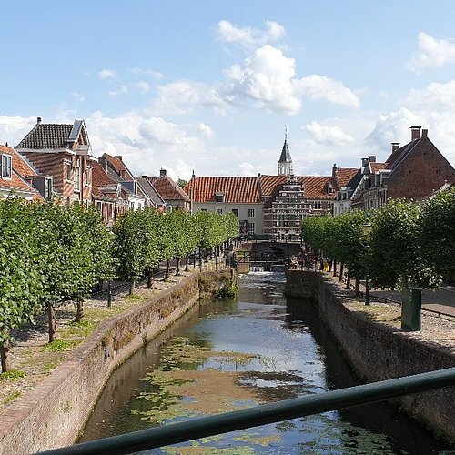 Historische Nederlandse stadsgracht met gevelhuizen, gesnoeide boomrij en kerkspits